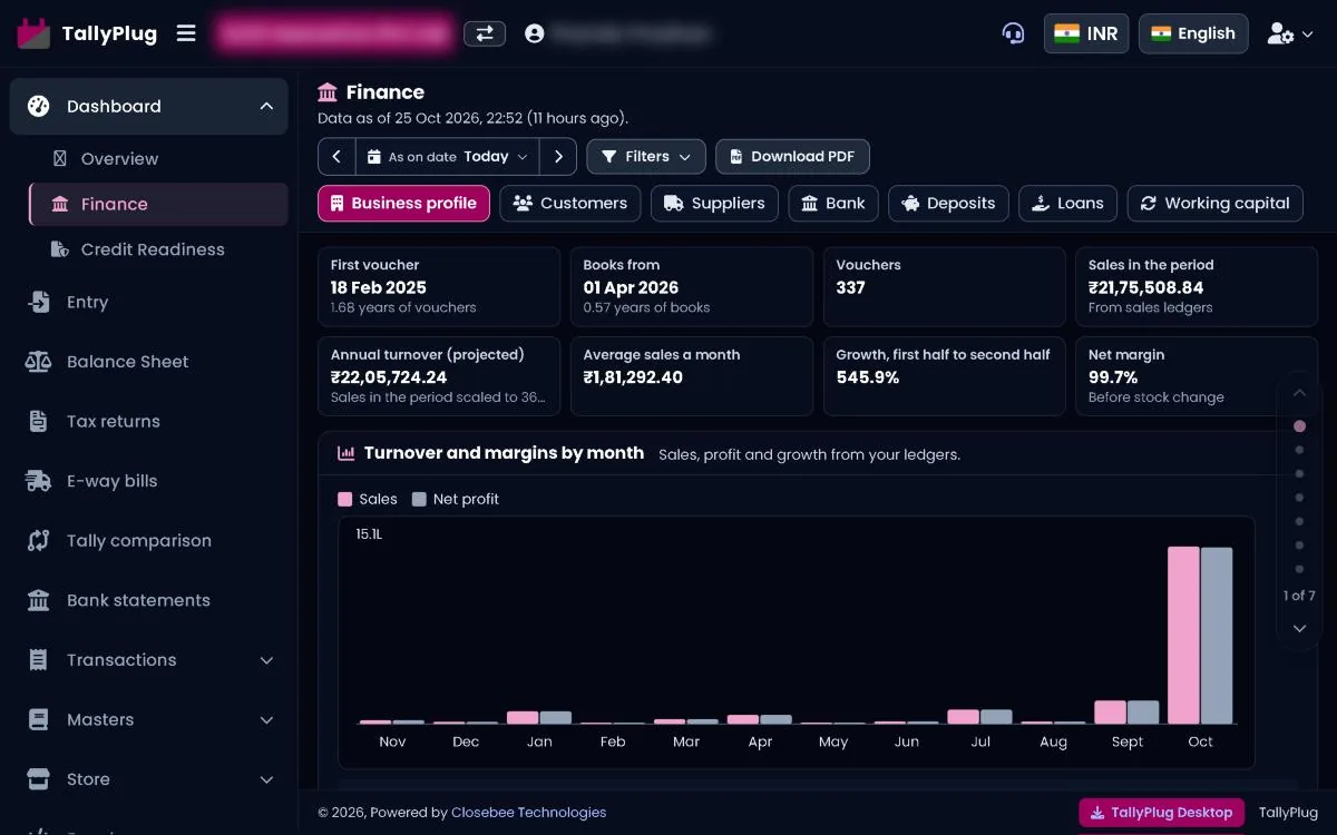 Finance report on the Business profile tab with turnover by month